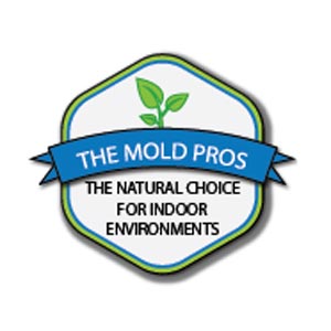 The Mold Pros | Environmental Business Review | Top Environmental Testing Services Companies