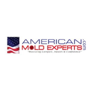 American Mold Experts