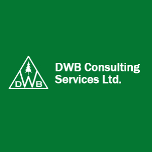 DWB Consulting Services