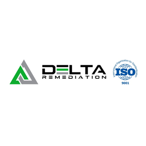 Delta Remediation