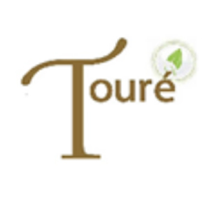 Toure Environmental Engineering