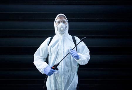 Guiding The Future of Mosquito and Termite Control