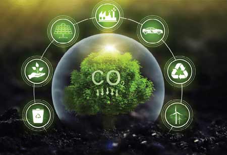 Ian Hatchard, Associate Manager of Sustainability Strategy, The Wonderful Company | Environmental Business Review