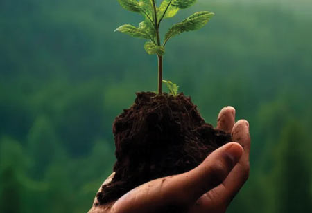 Pioneering Solutions in Environmental and Ecological Services