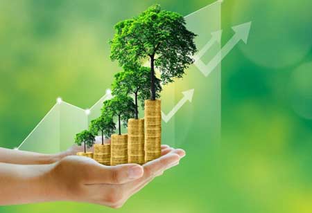 Growth Factors of Environmental Consulting in Catalyzing Sustainability