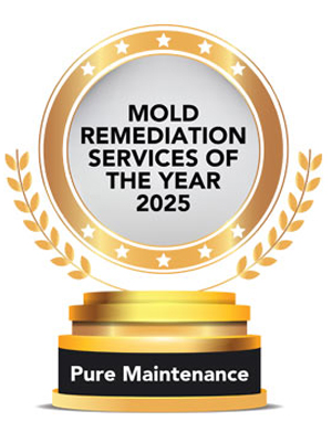 Pure Maintenance: Restoring Purity and Reclaiming Spaces from Mold 