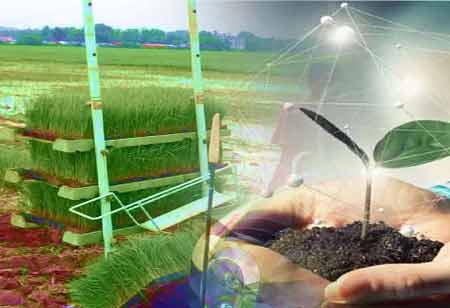 Ollie Rosevear, Director of Sustainability, Fuller, Smith & Turner | Environmental Business Review
