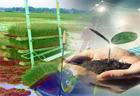 Environmental Business Review