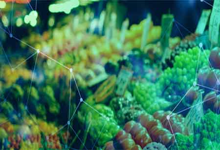 Oliver Sterling, Asbestos Remediation and Environmental Compliance Director, Veolia | Environmental Business Review