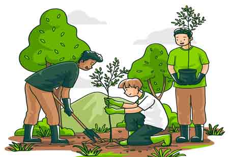 Environmental Education Paves the Way for a Sustainable Future