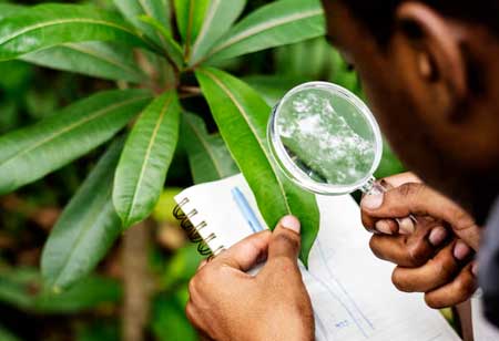 Key Benefits of Environmental Site Assessments