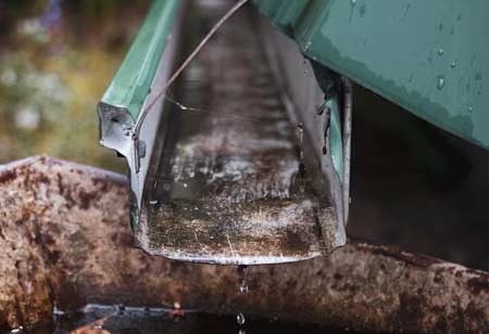 Harnessing Rainwater for a Sustainable Water Future