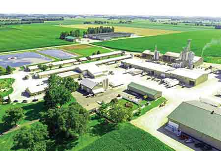 Wendy Wang, Associate Procurement Director, Sustainability and ESG, Budweiser Brewing Company APAC  | Environmental Business Review