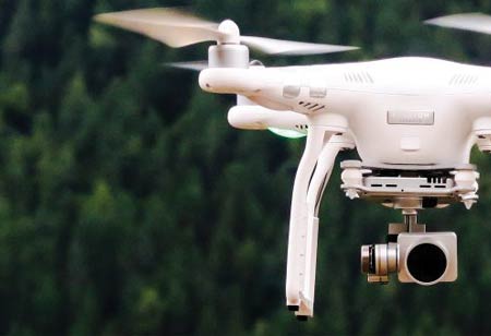 Europe's Green Guardians: Advanced Technologies in Forest Conservation