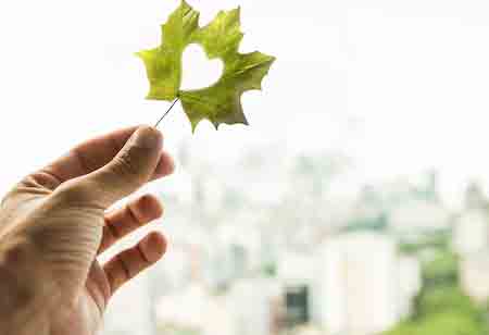 Advantages of Utilizing Environmental Site Assessments for Achieving Success