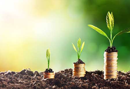Mastering Environmental Regulations to Boost Business Success