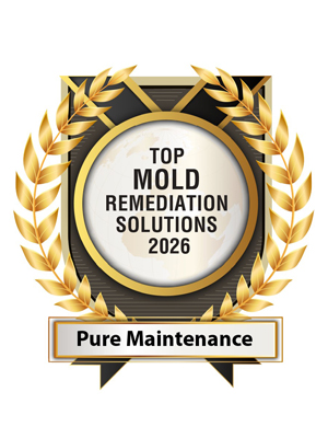 Top Mold Remediation Solutions 2026