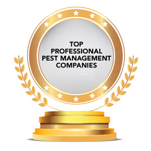 Top Professional Pest Management Companies