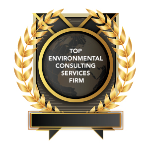 Top Environmental Engineering and Consulting Services Firms