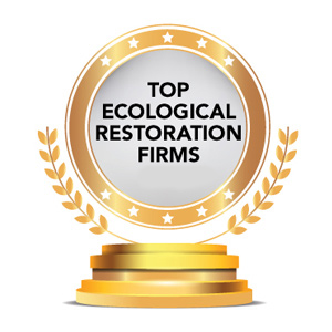 Top Ecological Restoration Firms