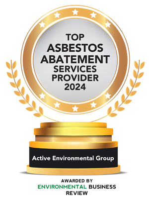Top 10 Asbestos Abatement Services Providers - 2024